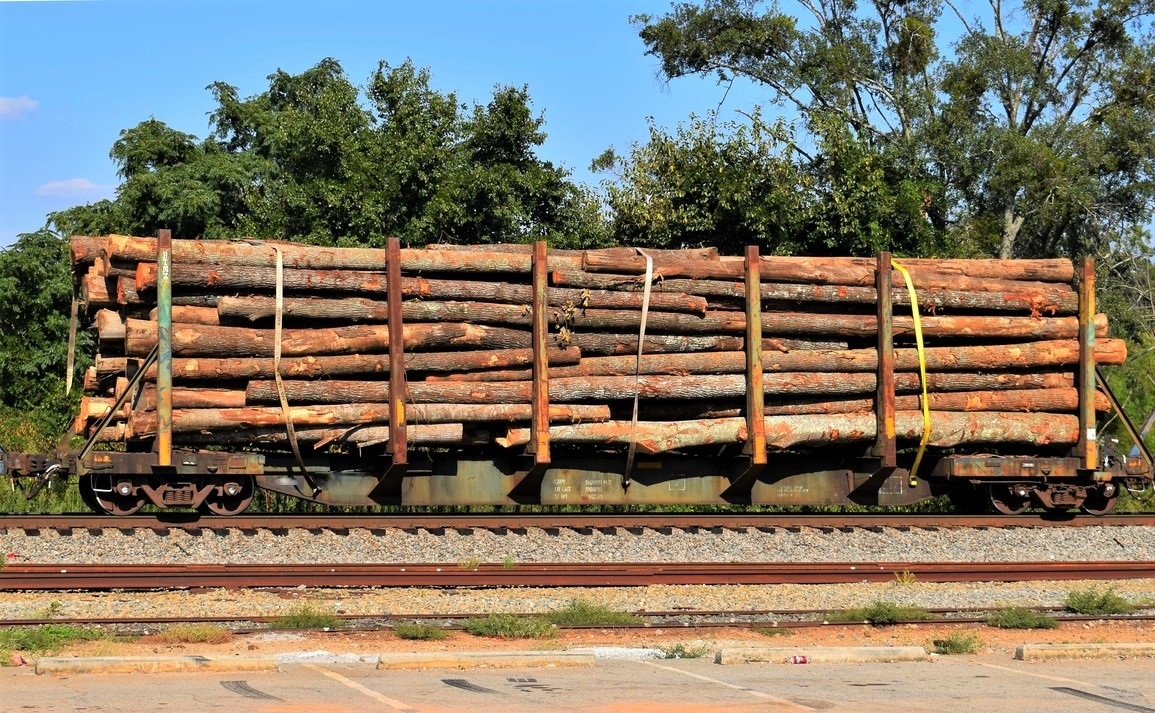 Log Flat Cars-image